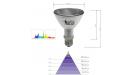 Solar Raptor 50w HID lamp SPOT